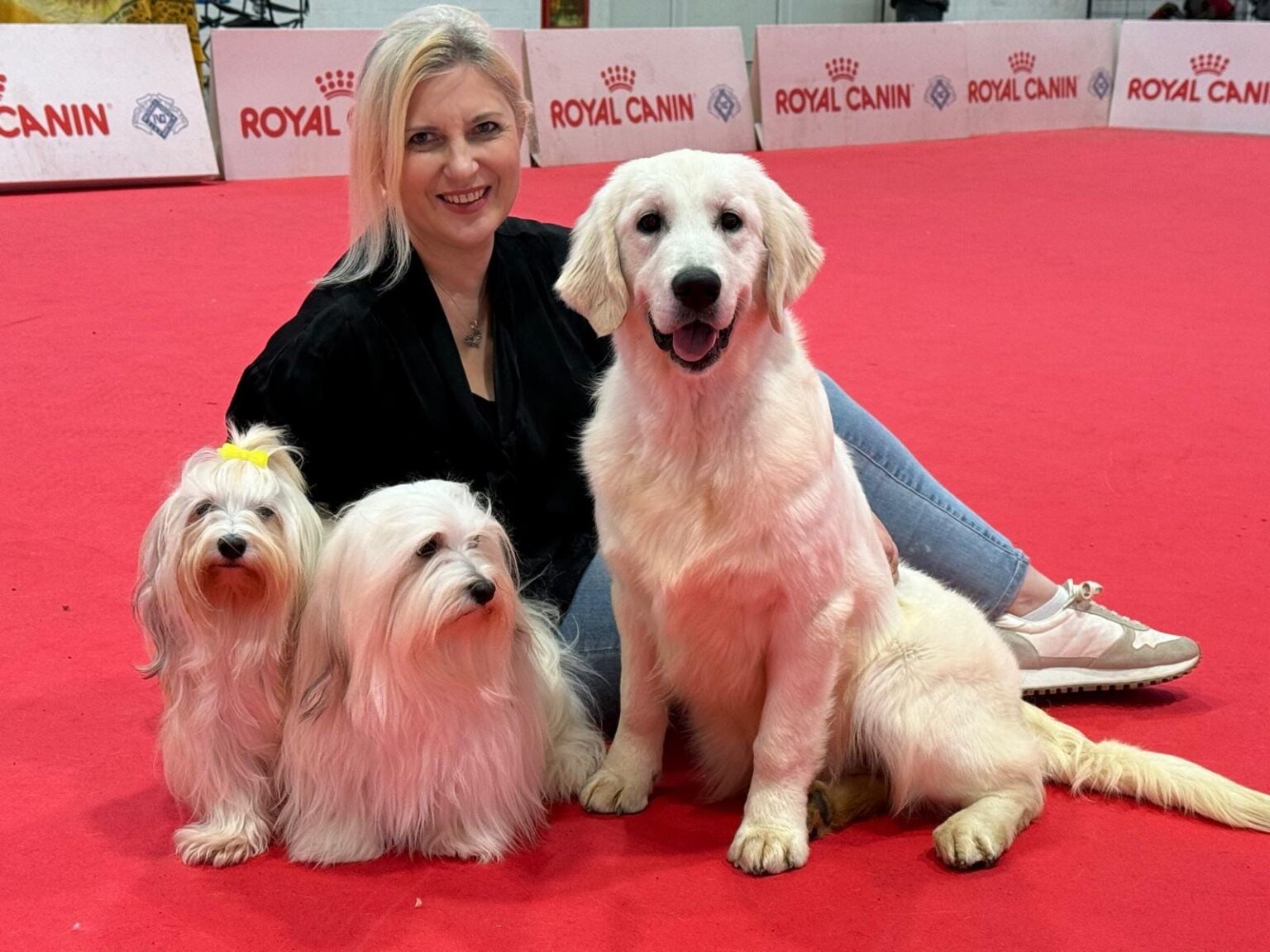 Katia Rizzo - Wash Dog Grooming - Docente Toelettatura Professionale