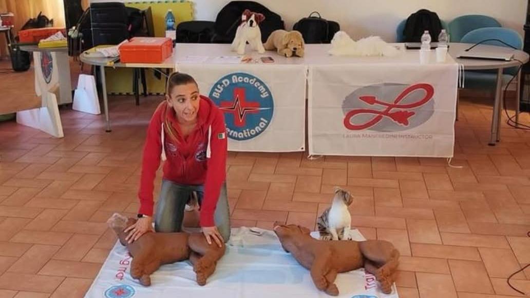 Scopri di più sull'articolo Certificazione DAFA Dog Advanced First Aid Primo Soccorso Cinofilo BLS