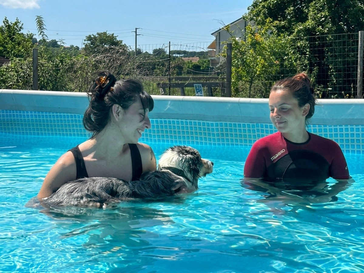 Piscina per cani a Cattolica
