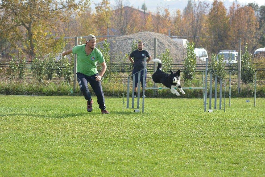 Binomio cane conduttore durante attività sportiva