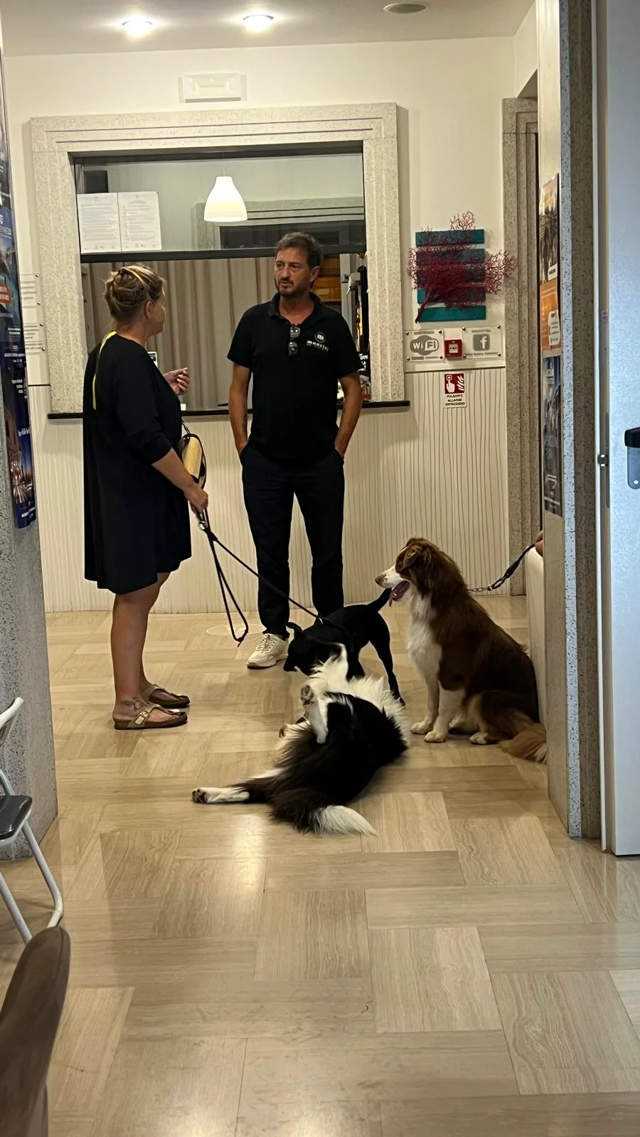 Consulenza Pet Friendly Hospitality presso Hotel Ambra Cattolica