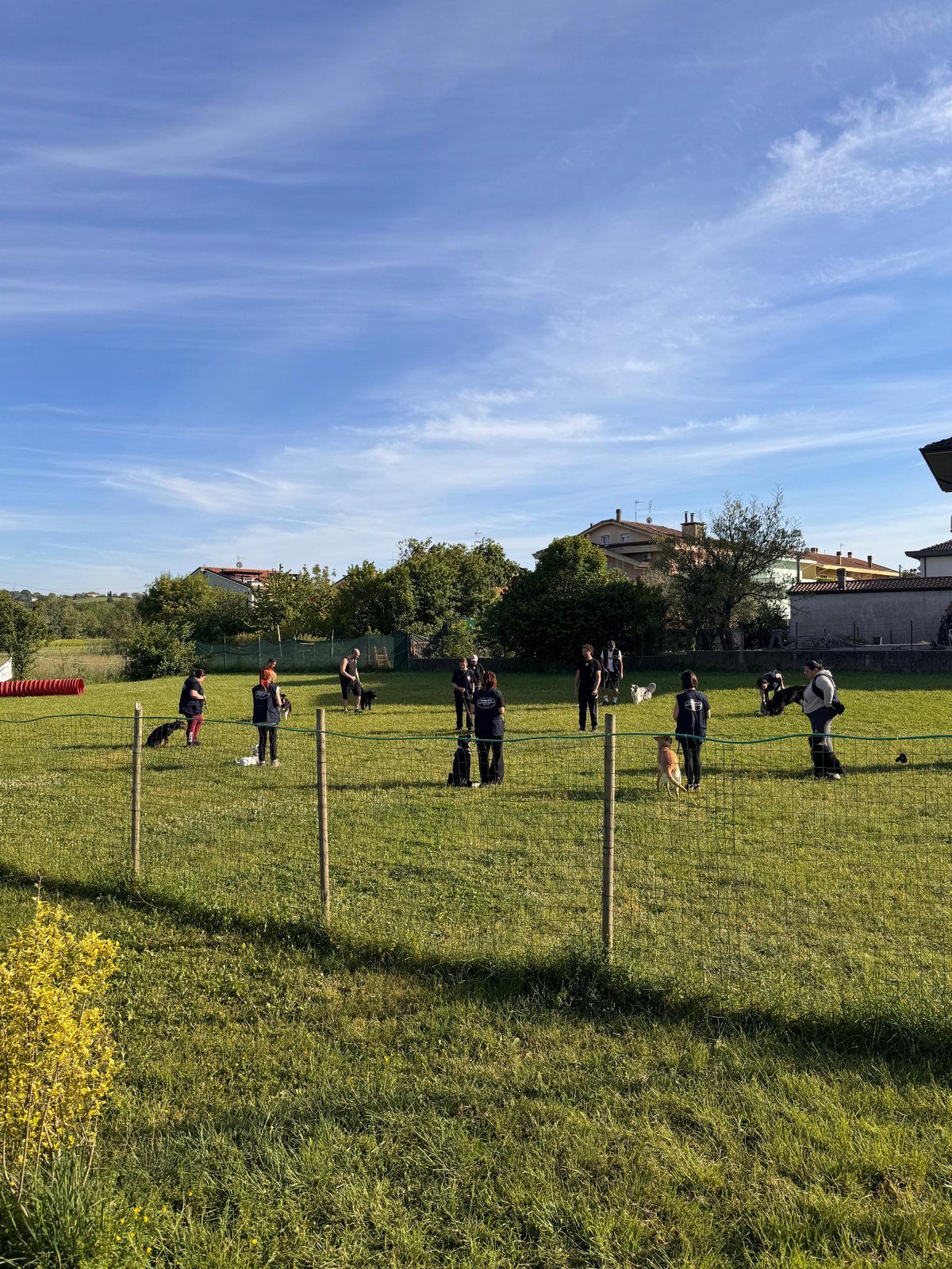 Corso Educatore Cinofilo a Cattolica