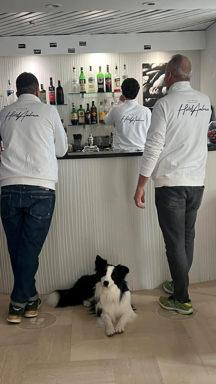 Hotel Ambra Cattolica e servizi Pet Friendly Io Mi Fido di Te