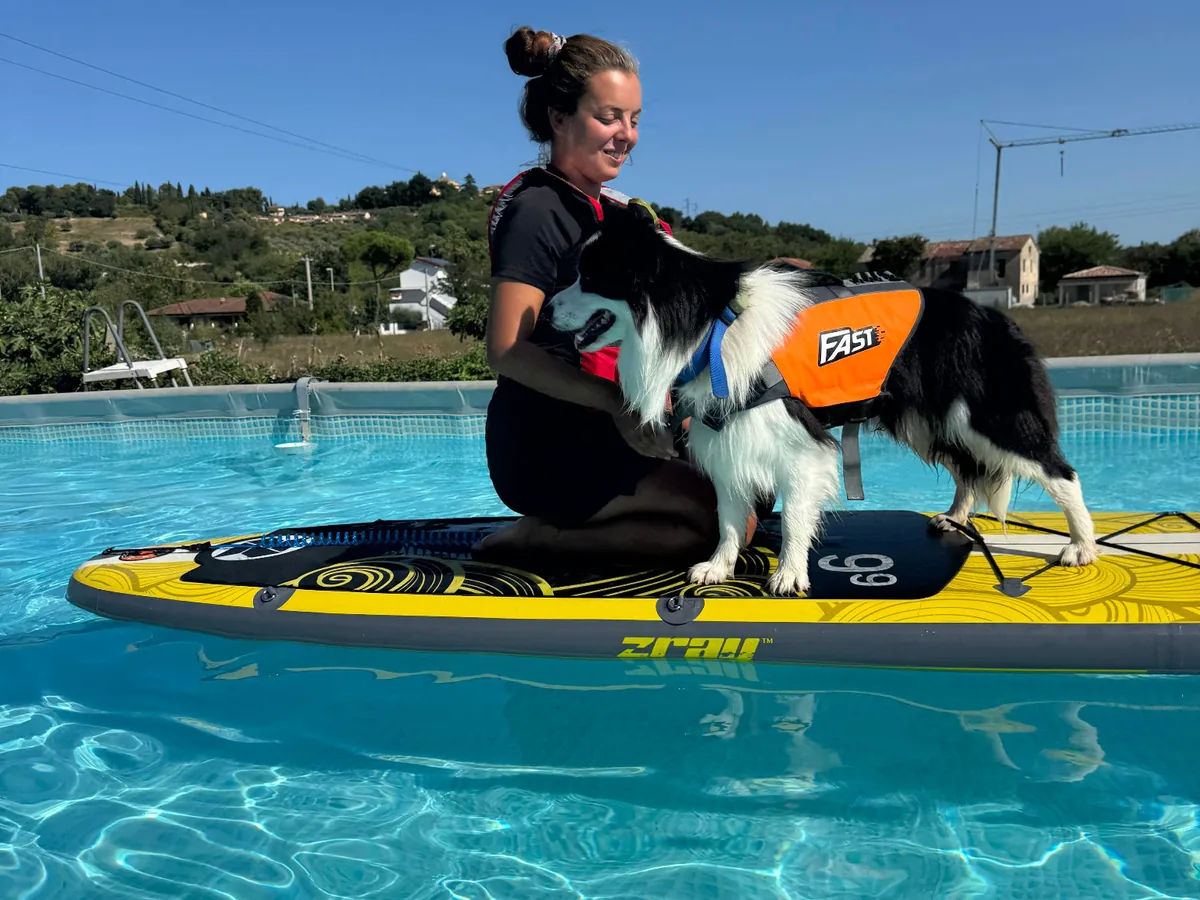 SUP Dog in piscina a Cattolica con cane sulla tavola