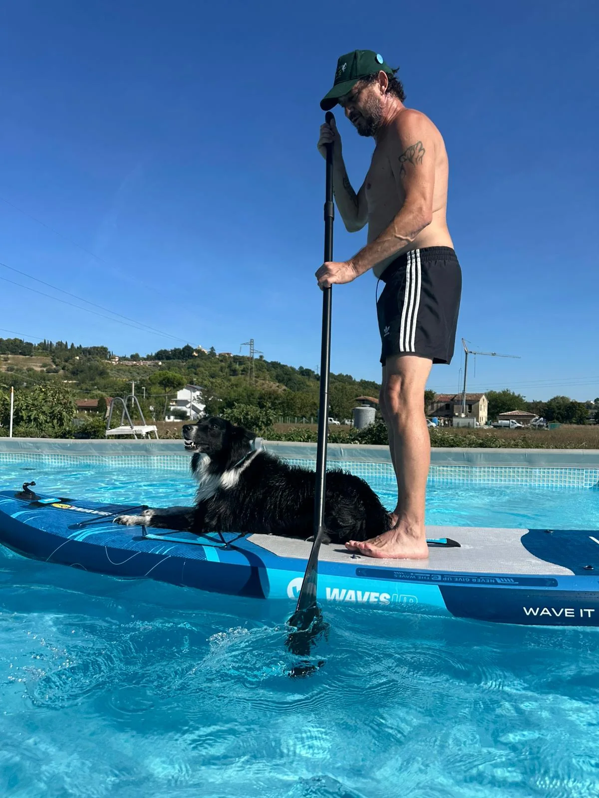SUP Dog con cane nella piscina del Centro Cinofilo Io Mi Fido di Te