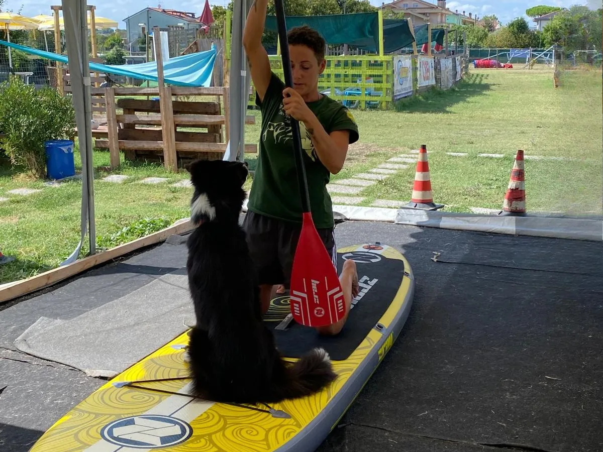 Preparazione SUP Dog a terra presso il Centro Cinofilo Io Mi Fido di Te a Cattolica