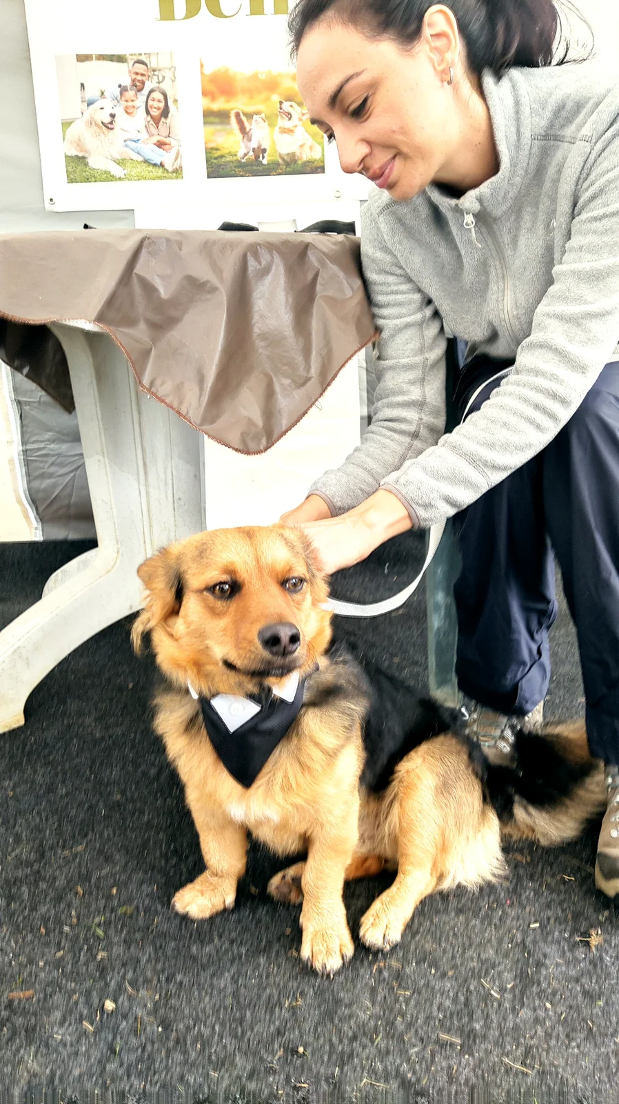 Preparazione del cane prima del matrimonio presso il Centro Cinofilo Io Mi Fido di Te