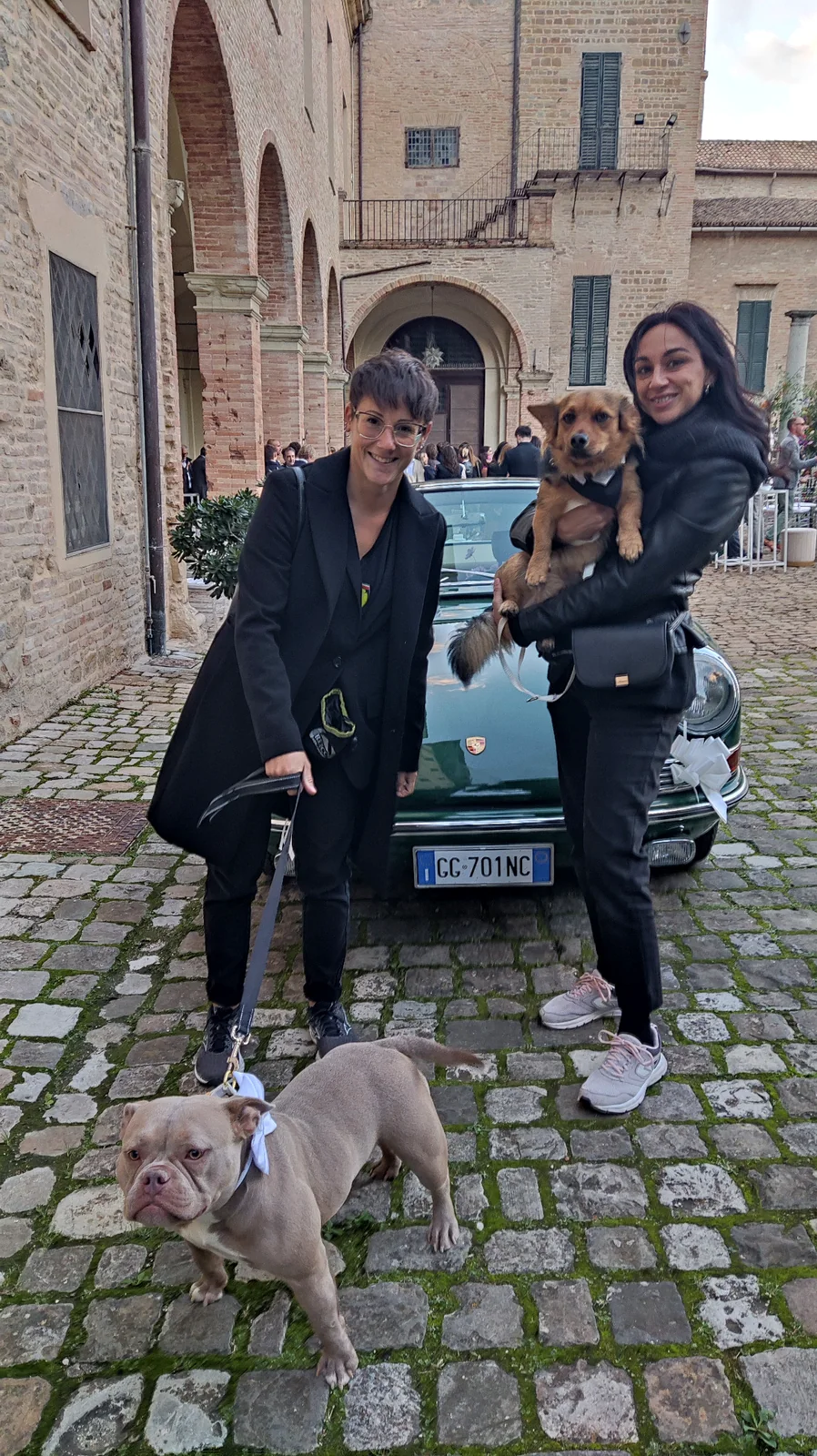 Gestione professionale dei cani durante un matrimonio